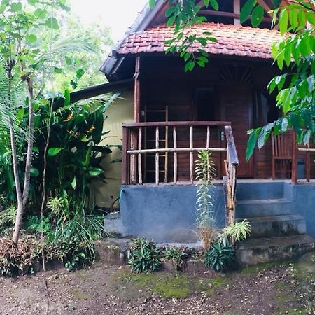 Echo Alam Nusa Lodge Ped Exteriör bild