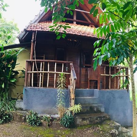 Echo Alam Nusa Lodge Ped Exteriör bild