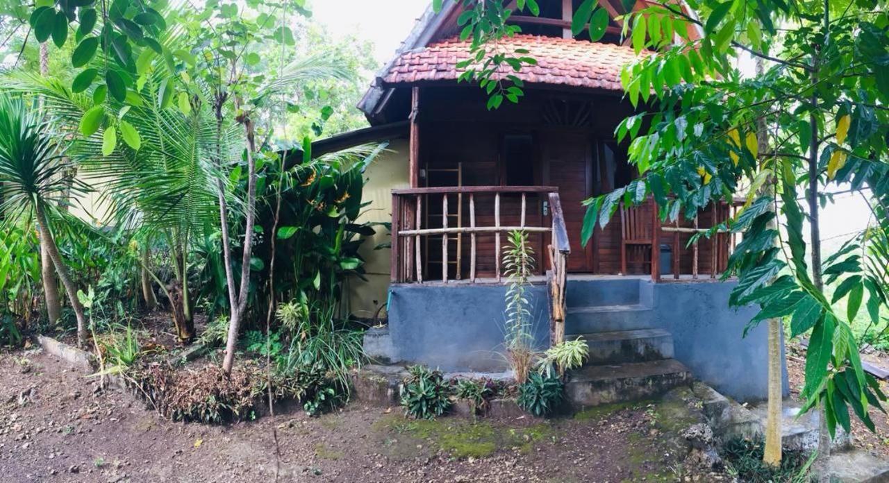 Echo Alam Nusa Lodge Ped Exteriör bild