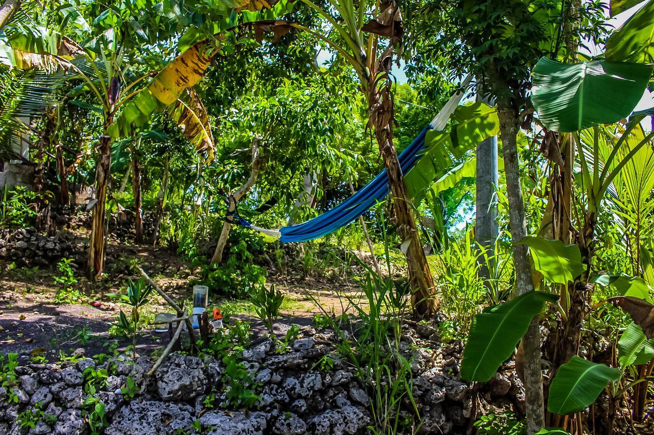 Echo Alam Nusa Lodge Ped Exteriör bild