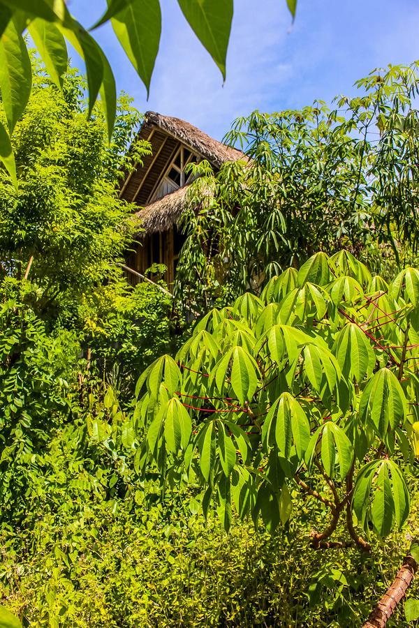 Echo Alam Nusa Lodge Ped Exteriör bild